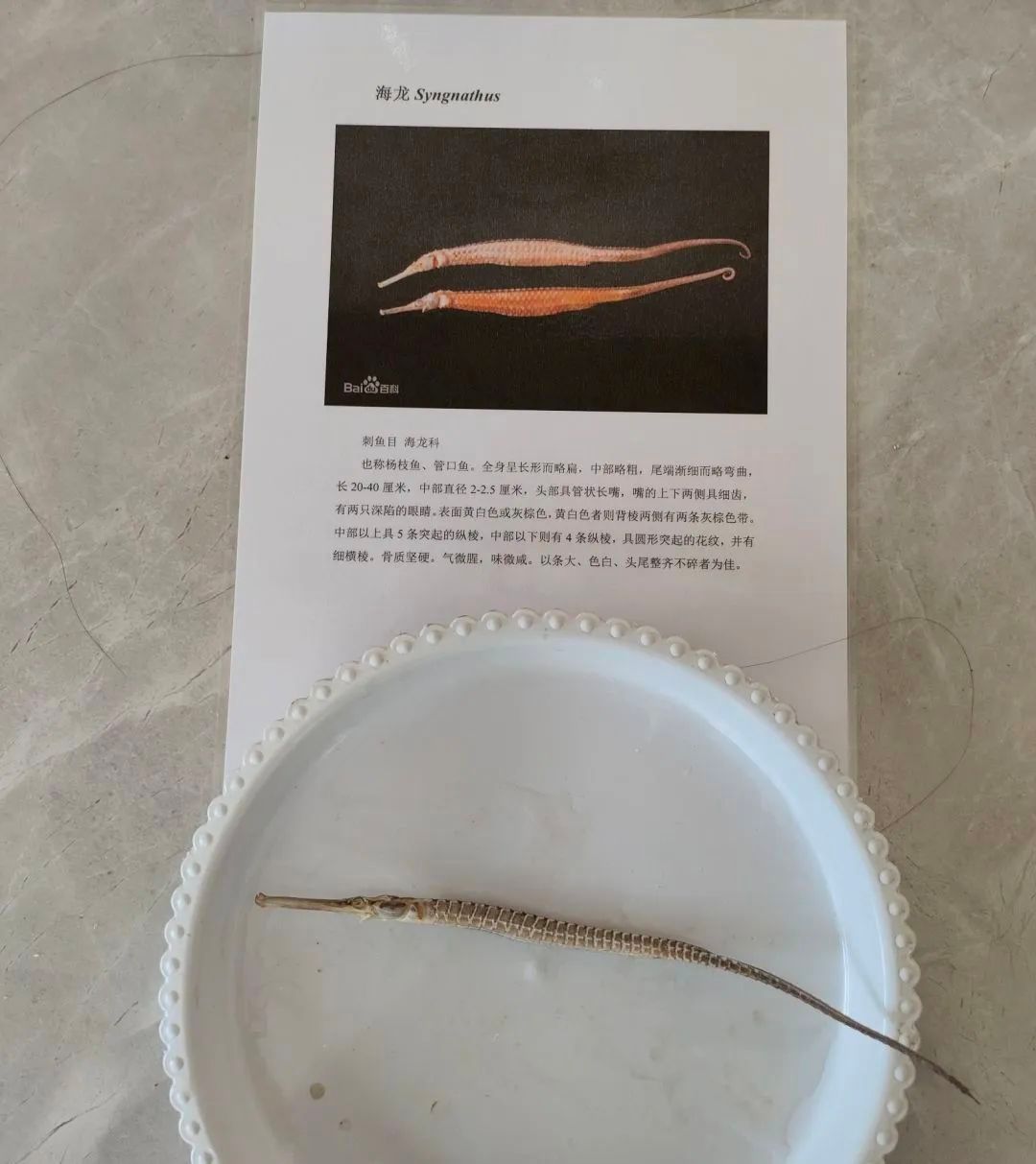 yL23411永利集团官网登录