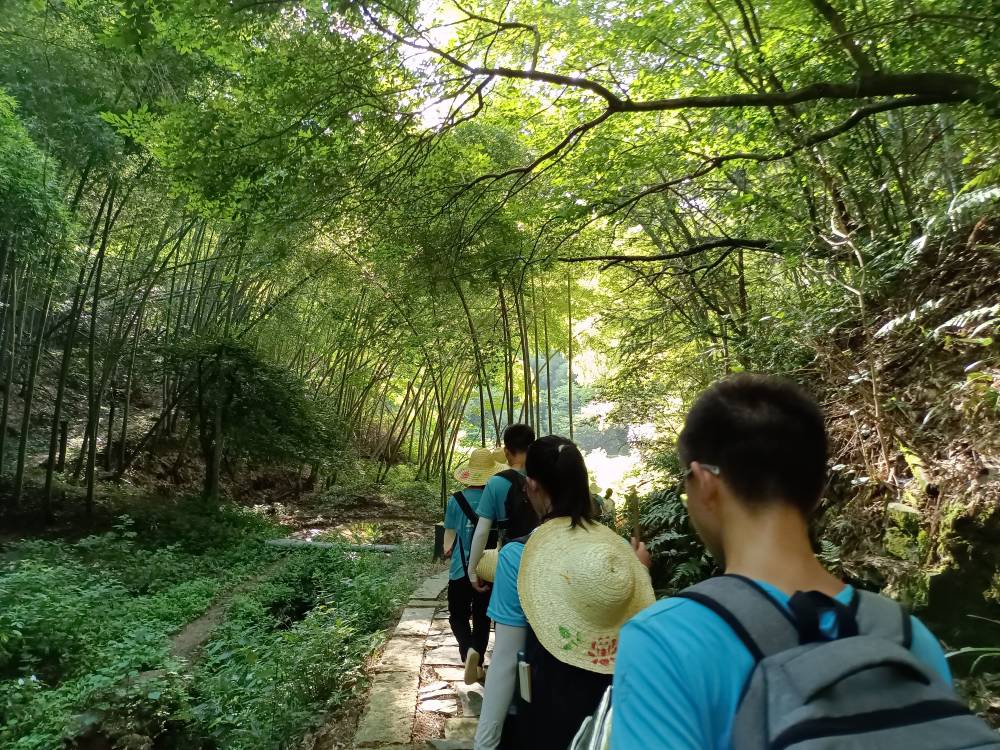 yL23411永利集团官网登录