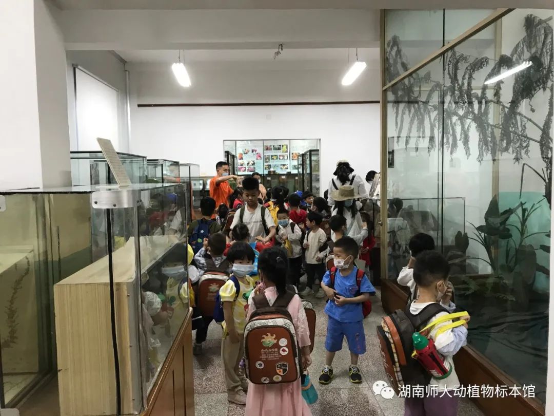 yL23411永利集团官网登录