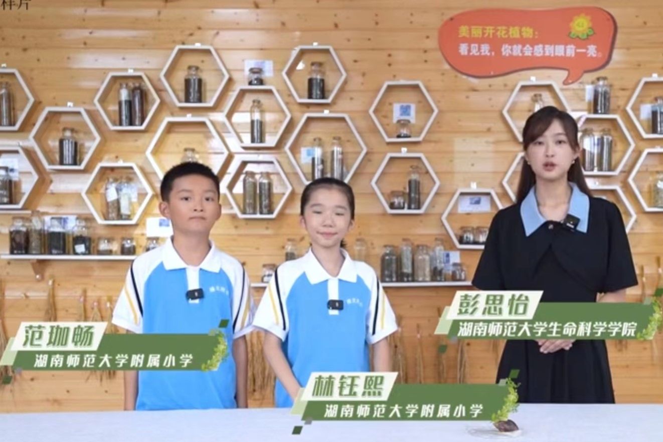 yL23411永利集团官网登录