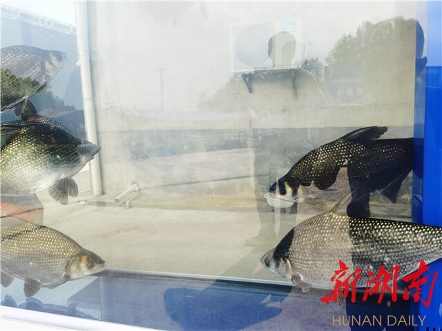 yL23411永利集团官网登录