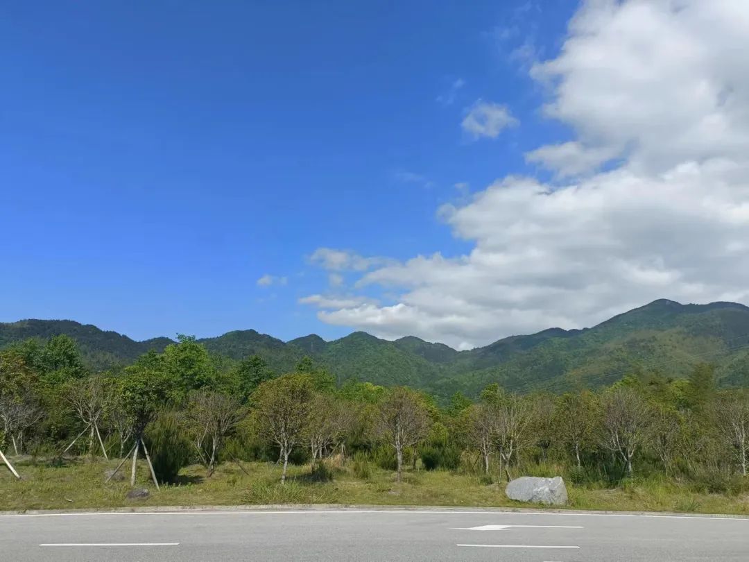 yL23411永利集团官网登录