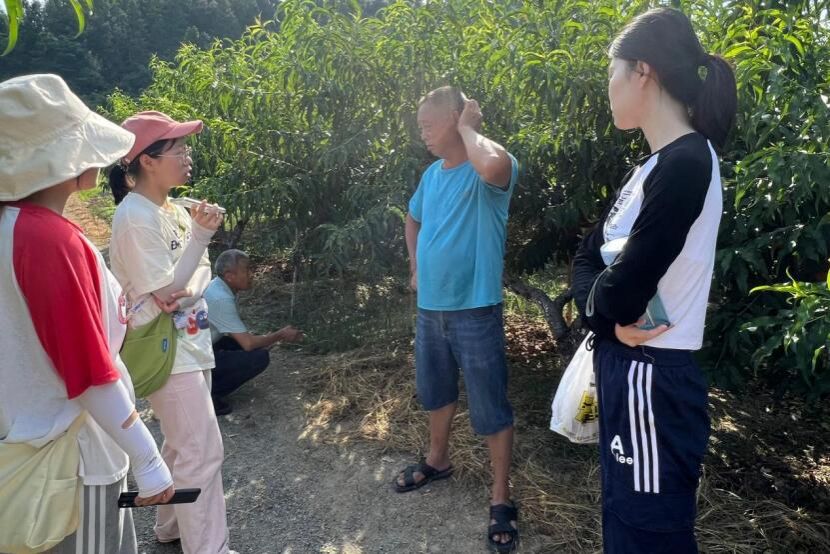 yL23411永利集团官网登录