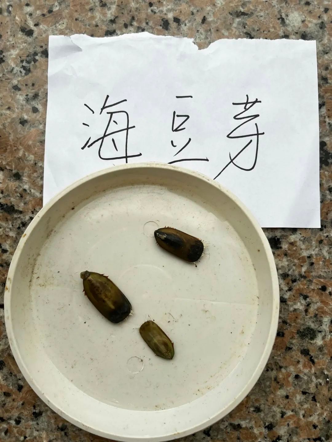 yL23411永利集团官网登录