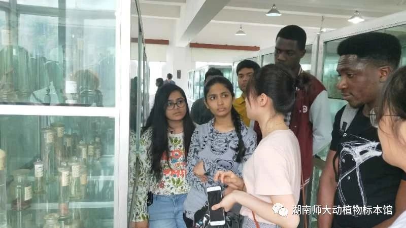 yL23411永利集团官网登录