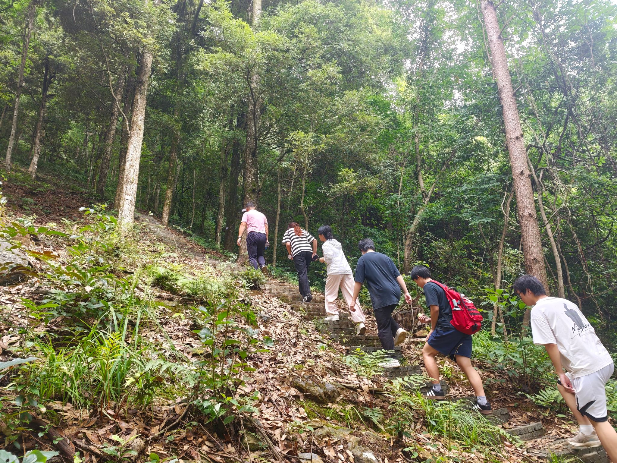 yL23411永利集团官网登录