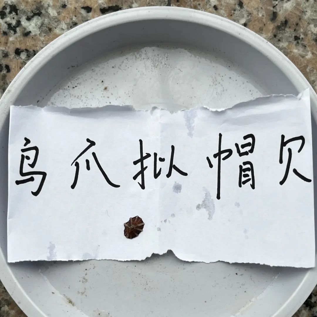 yL23411永利集团官网登录