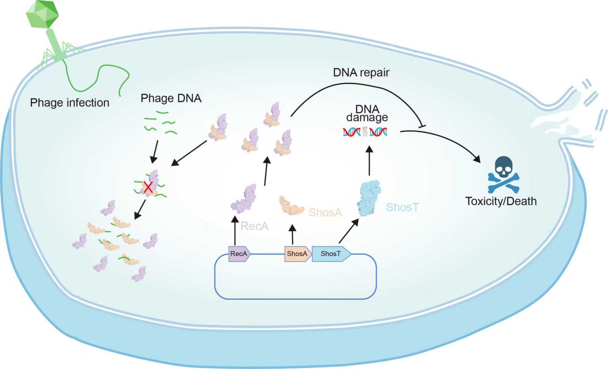 yL23411永利集团官网登录