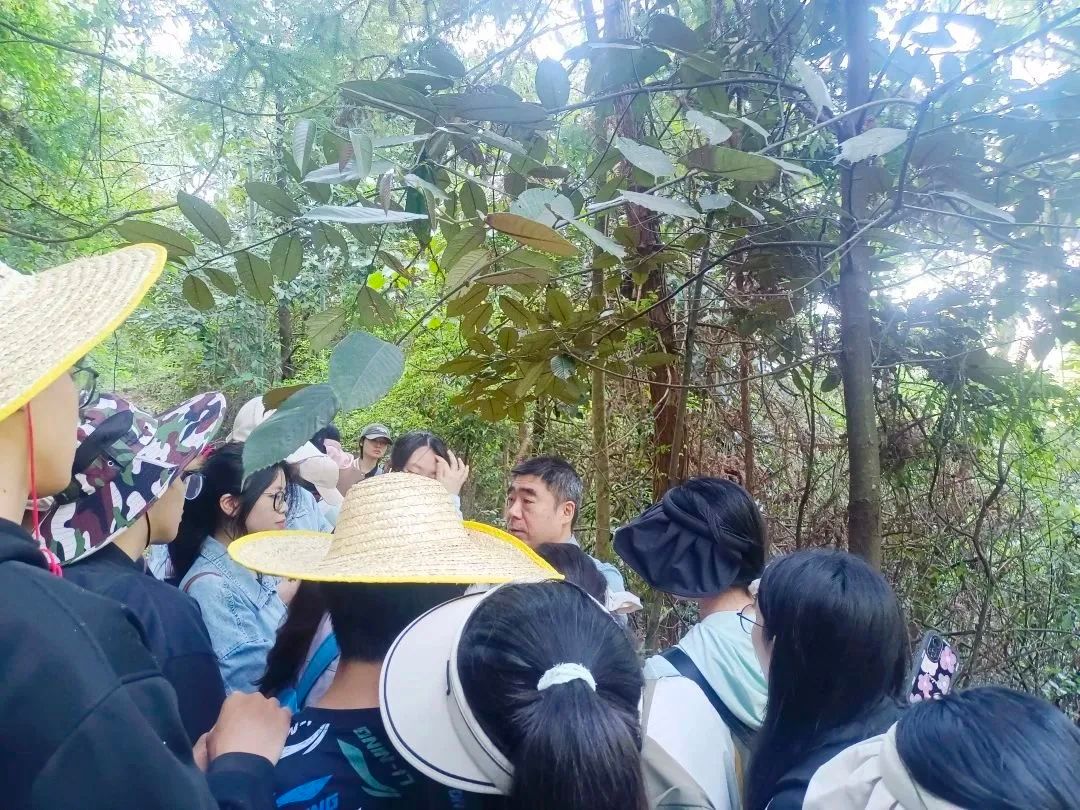 yL23411永利集团官网登录