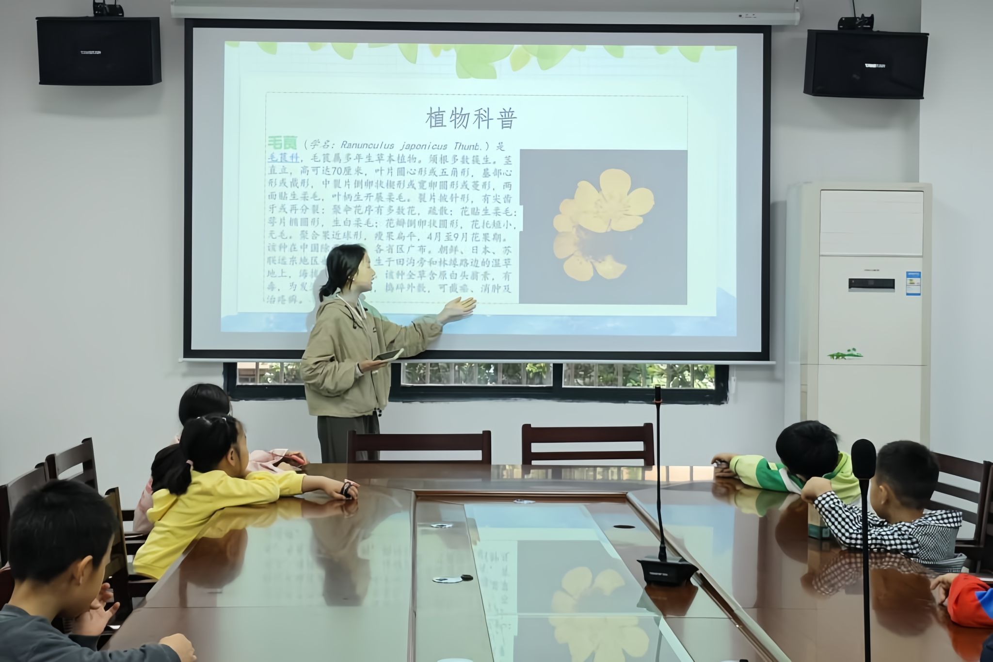 yL23411永利集团官网登录