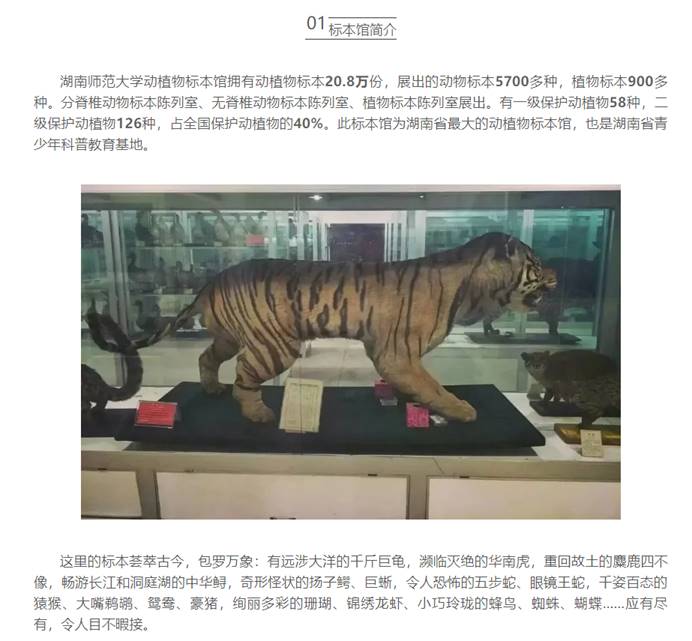 yL23411永利集团官网登录