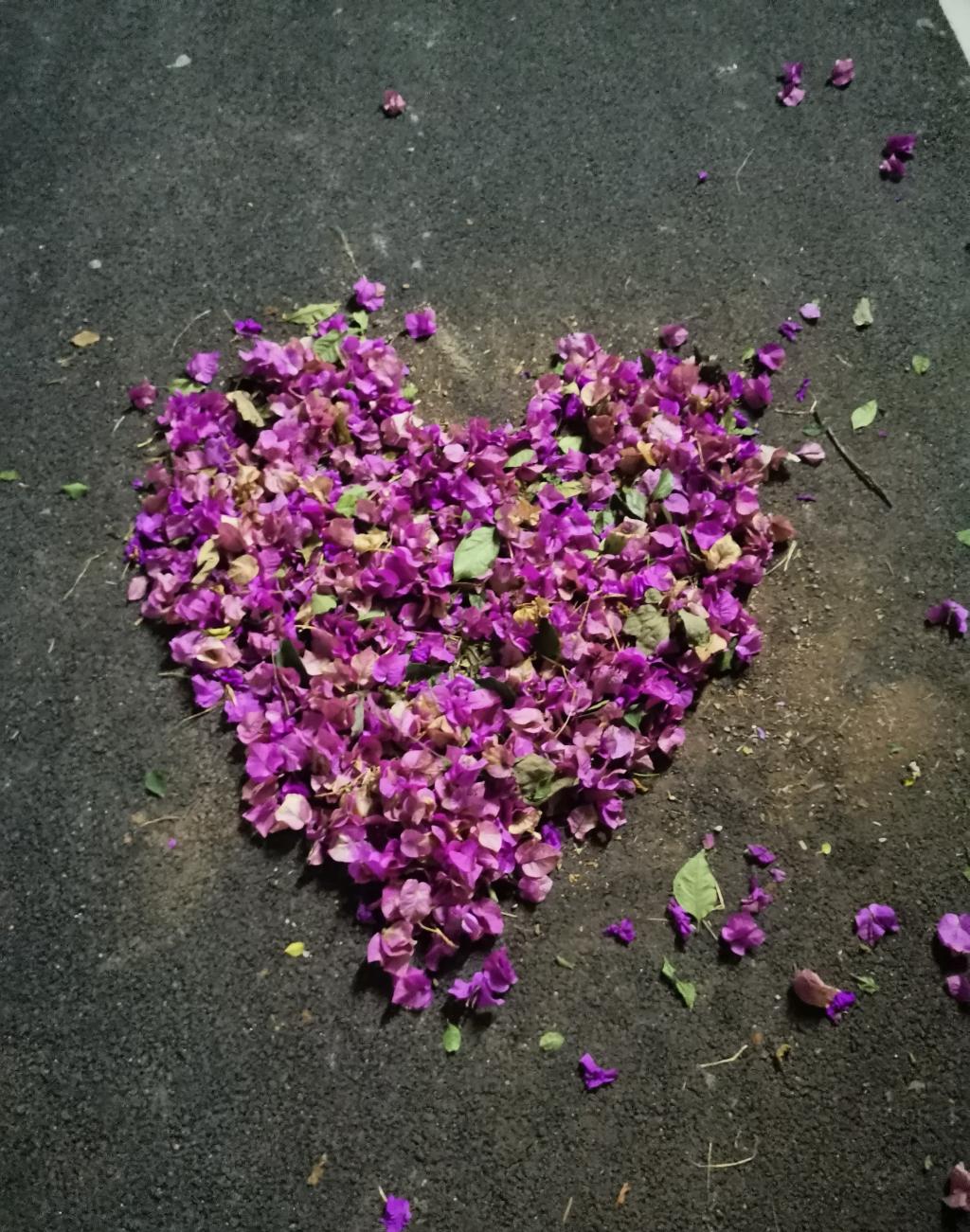 yL23411永利集团官网登录