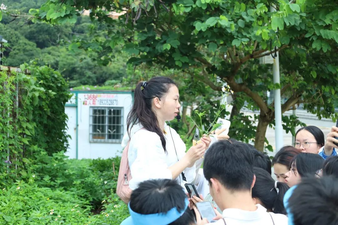 yL23411永利集团官网登录