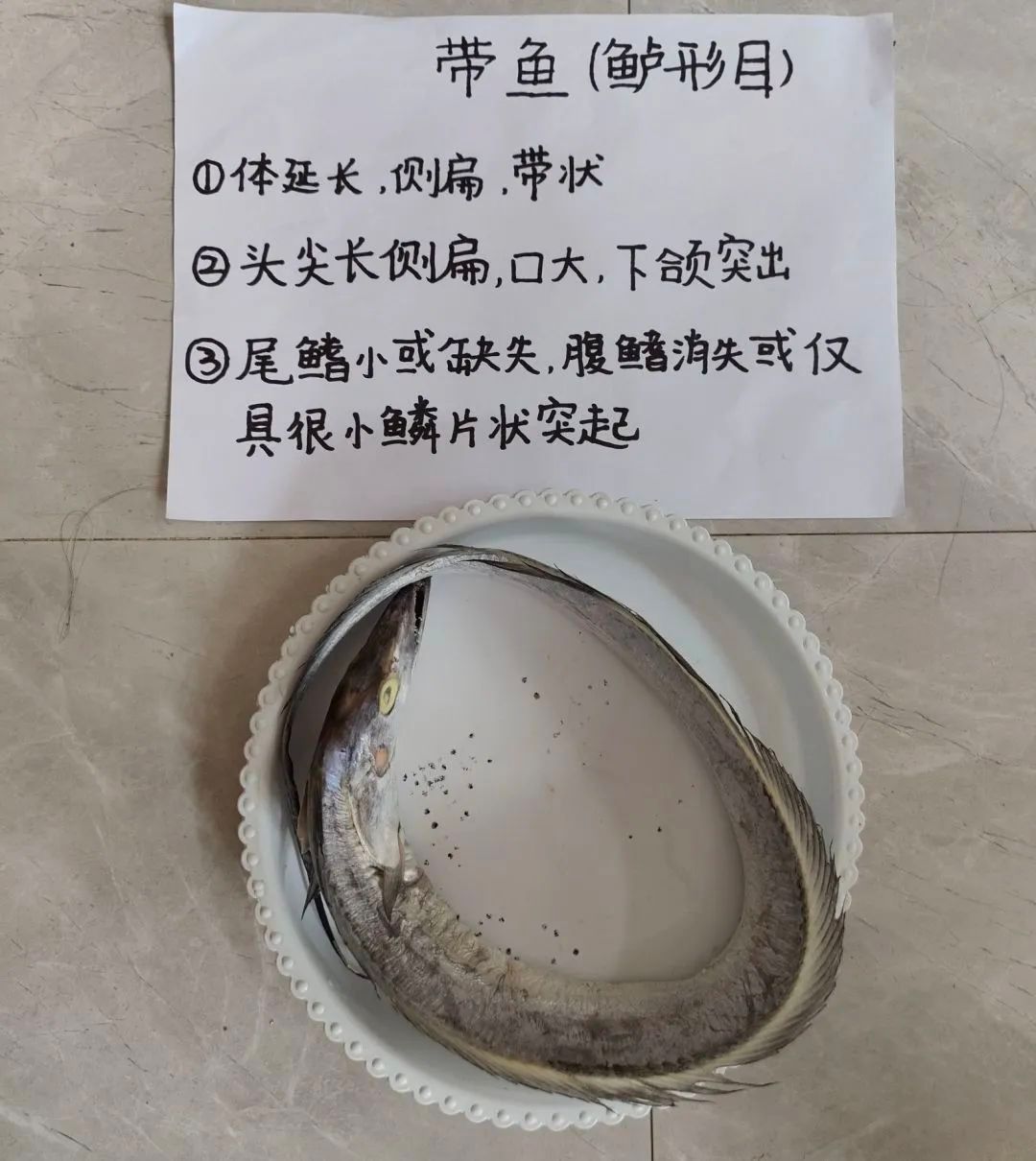 yL23411永利集团官网登录
