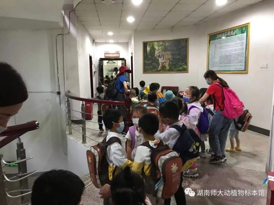 yL23411永利集团官网登录