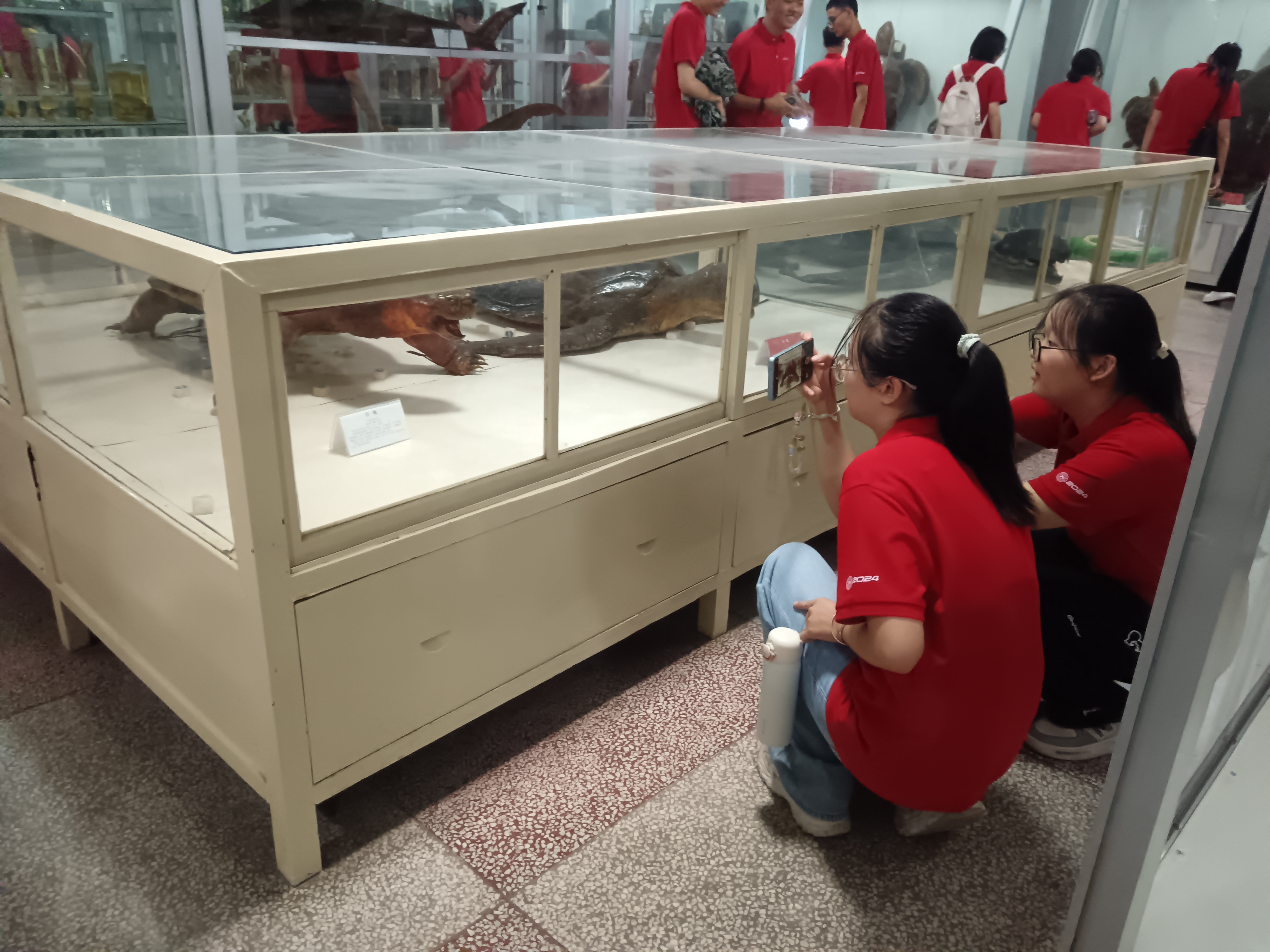 yL23411永利集团官网登录