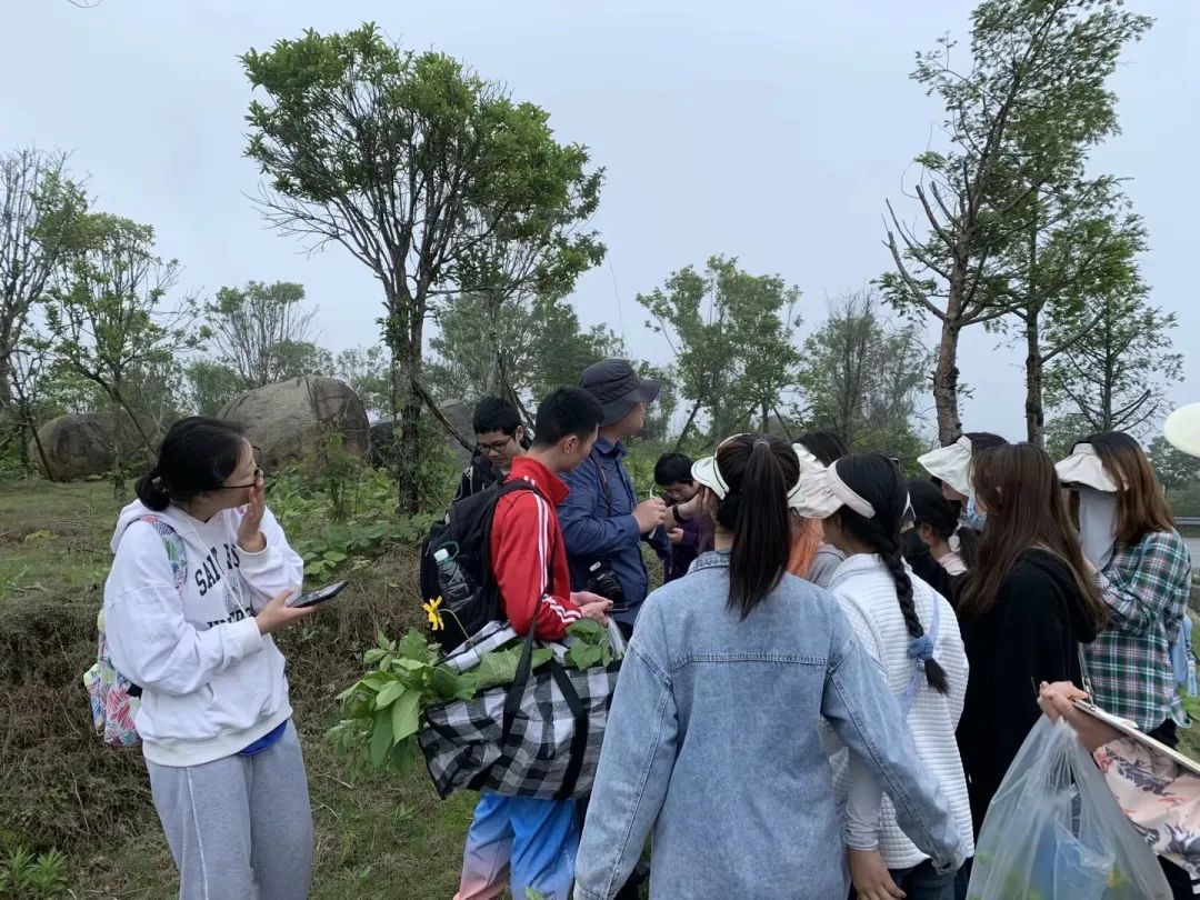 yL23411永利集团官网登录
