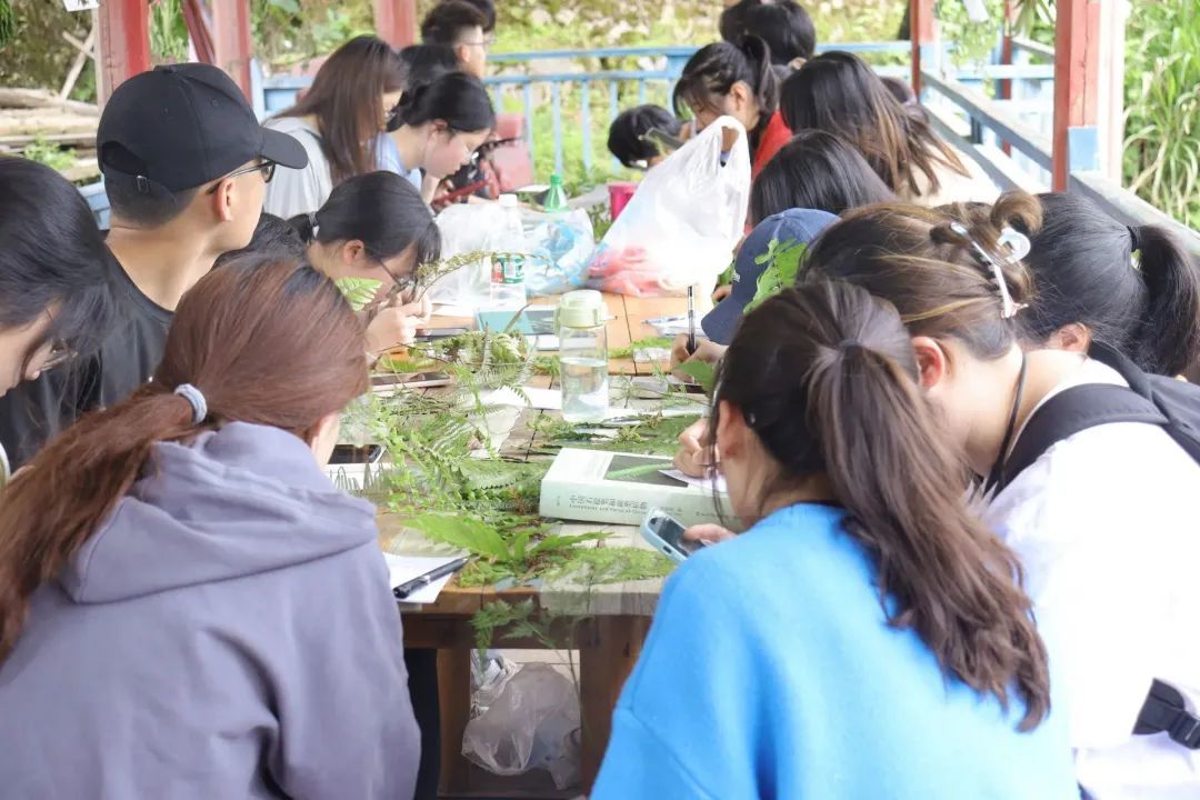 yL23411永利集团官网登录
