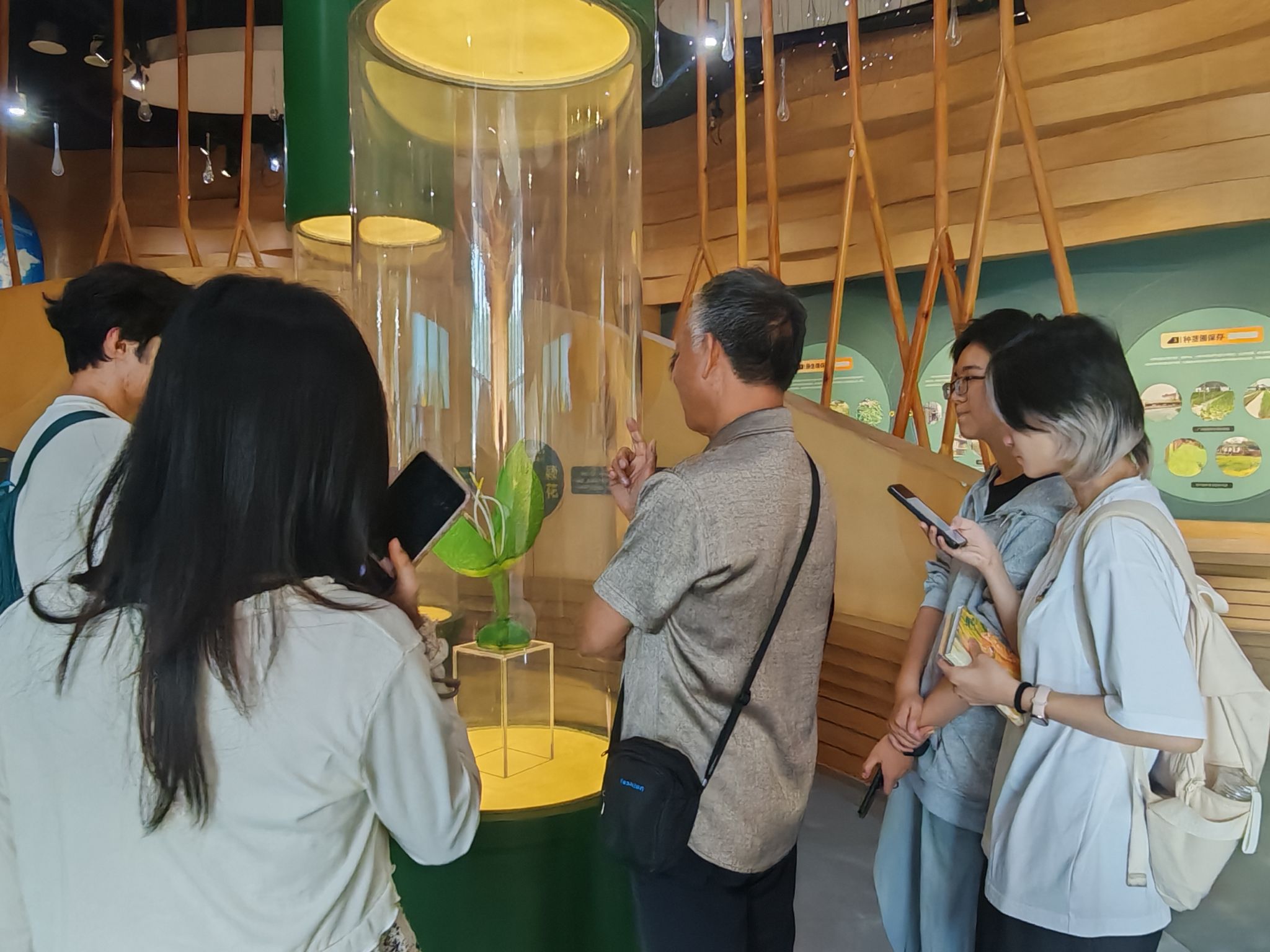 yL23411永利集团官网登录