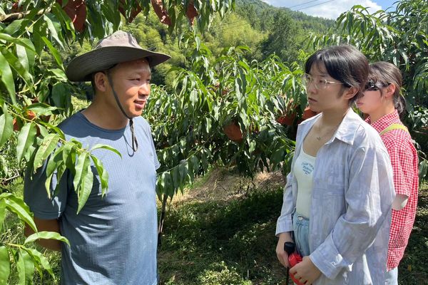 yL23411永利集团官网登录