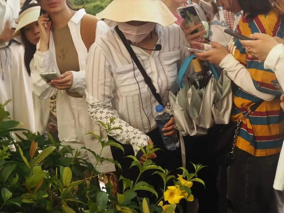 yL23411永利集团官网登录