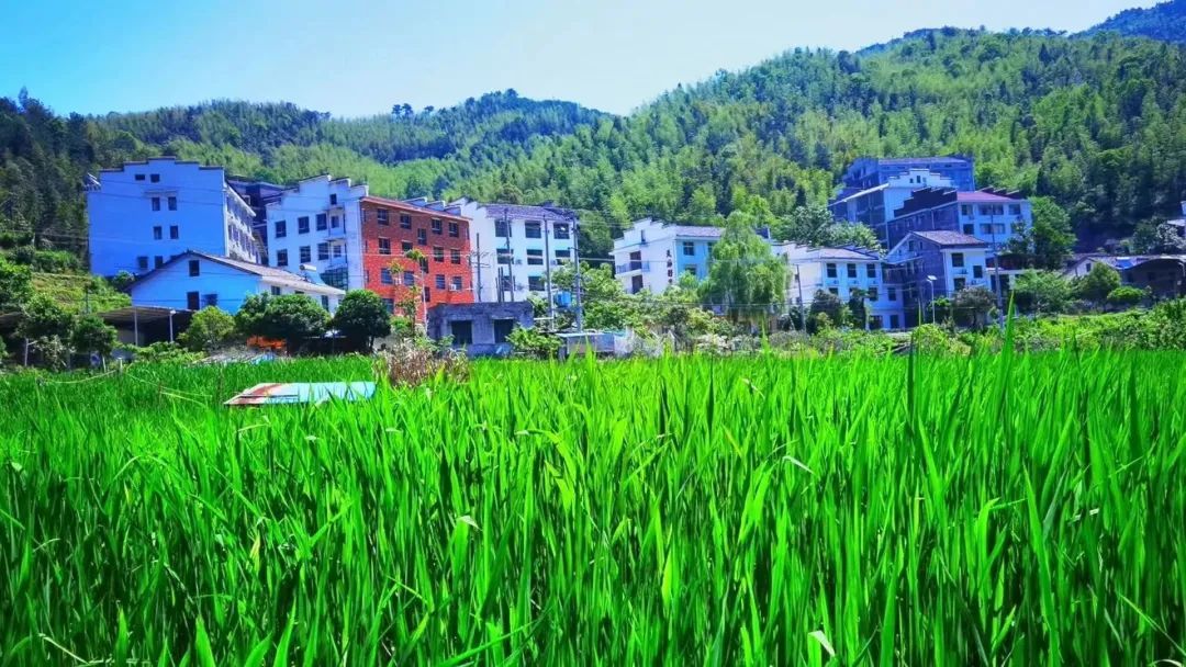 yL23411永利集团官网登录