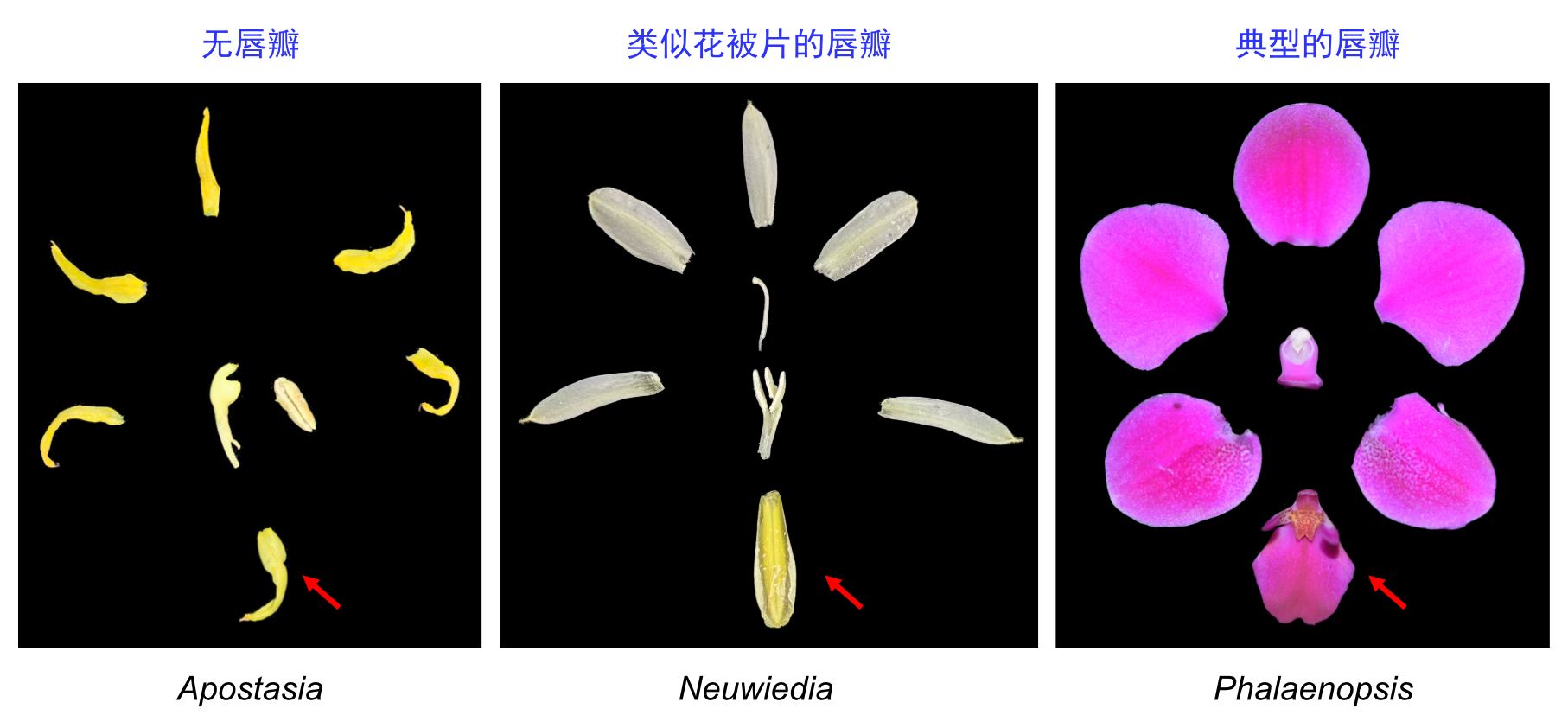 yL23411永利集团官网登录