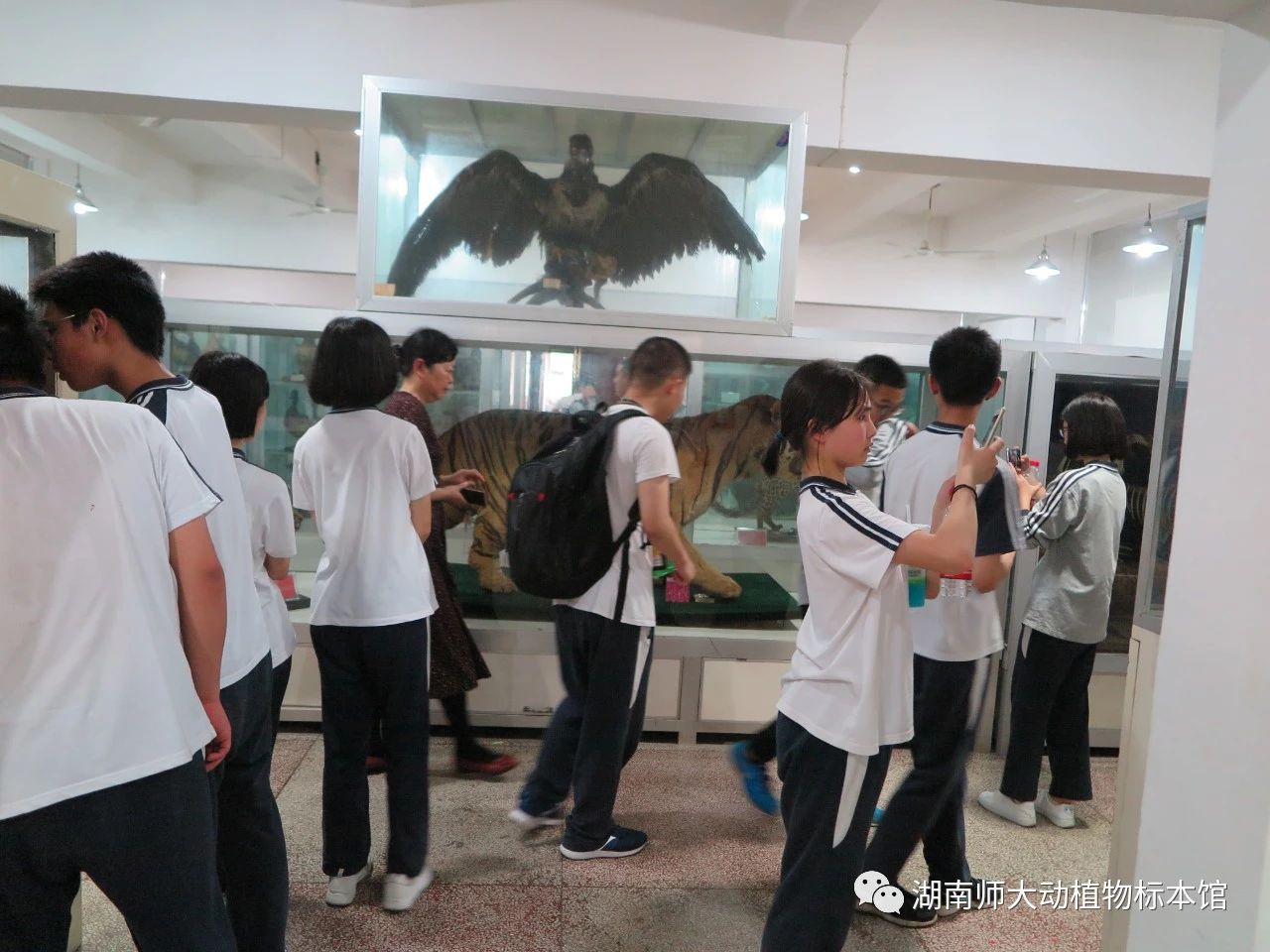 yL23411永利集团官网登录