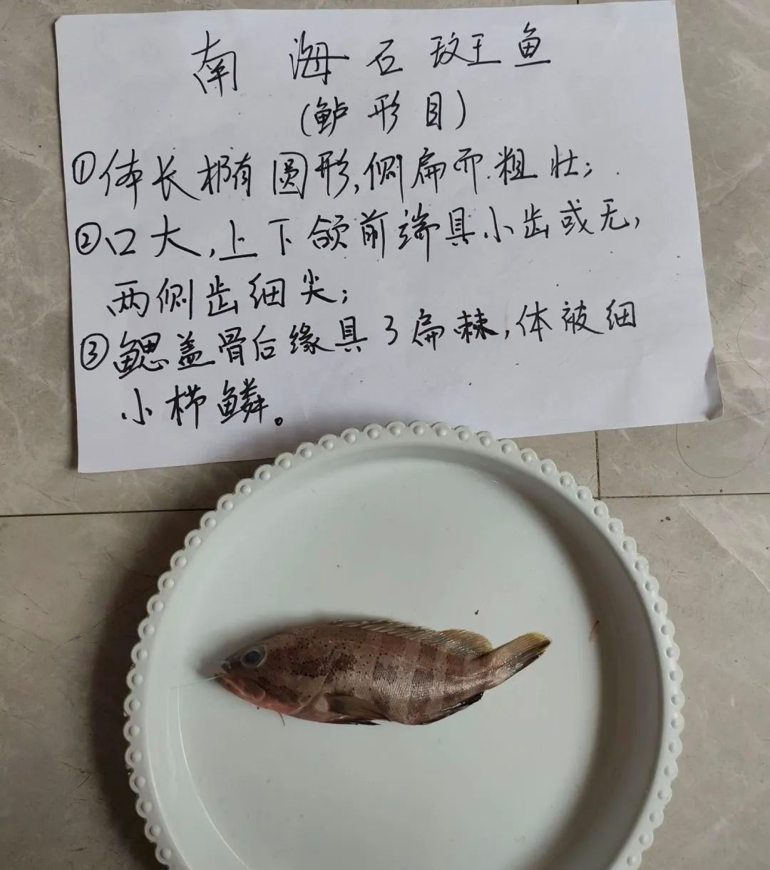 yL23411永利集团官网登录