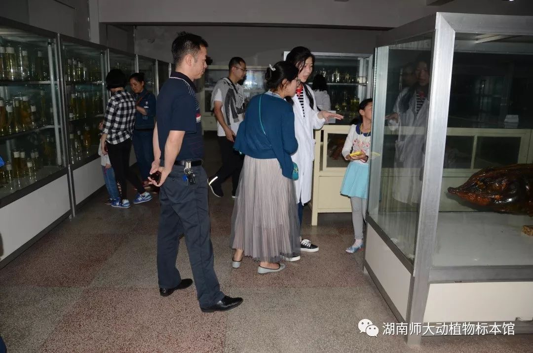 yL23411永利集团官网登录