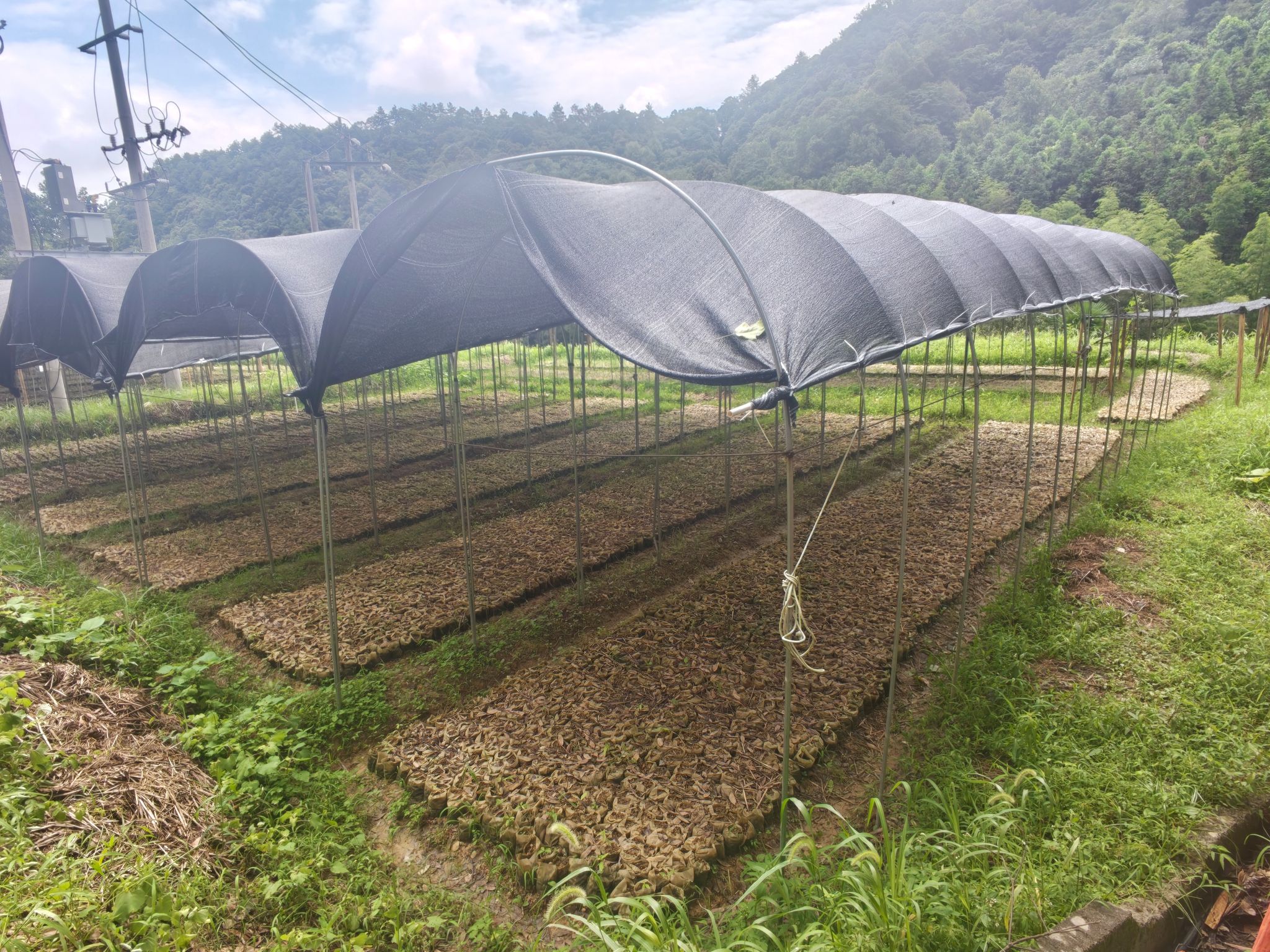 yL23411永利集团官网登录
