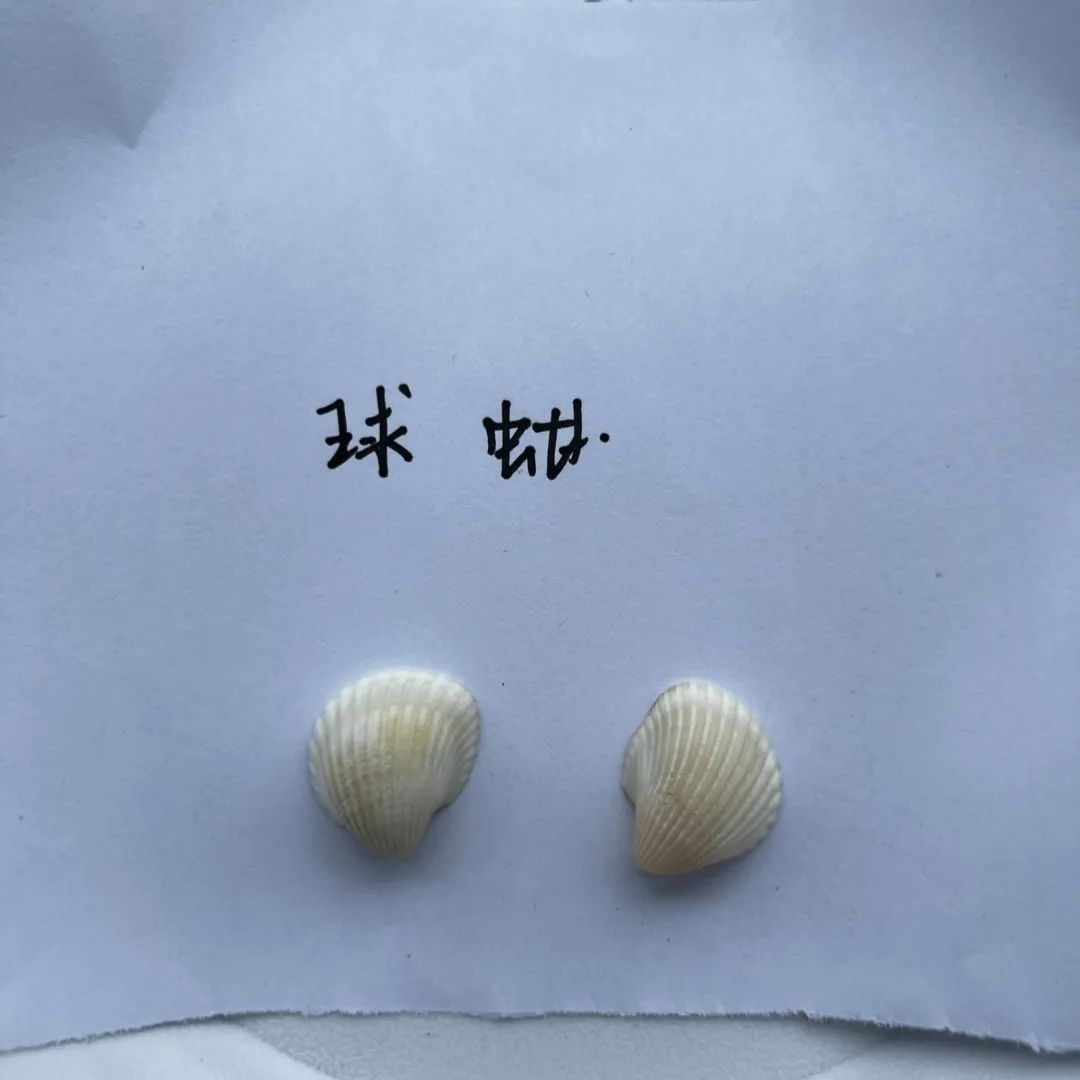 yL23411永利集团官网登录