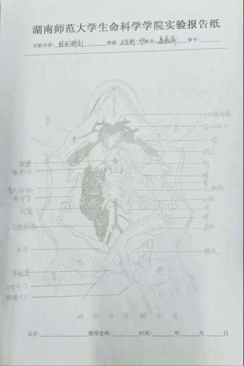 yL23411永利集团官网登录
