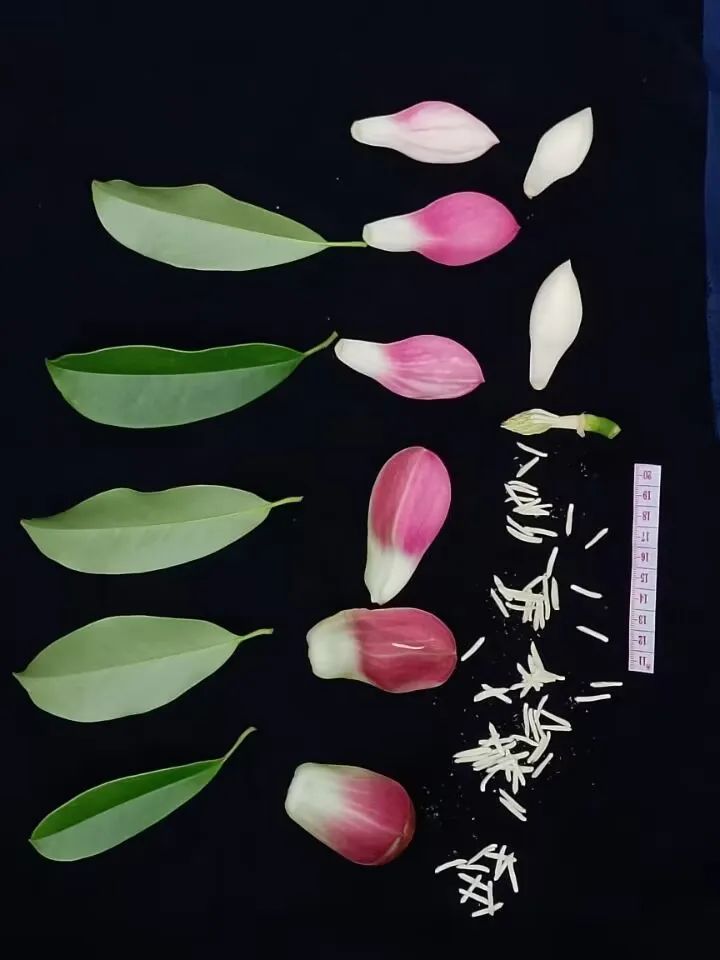 yL23411永利集团官网登录