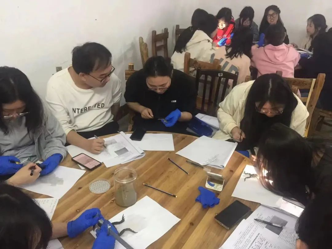 yL23411永利集团官网登录