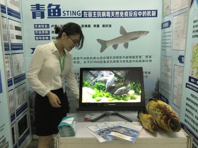 yL23411永利集团官网登录