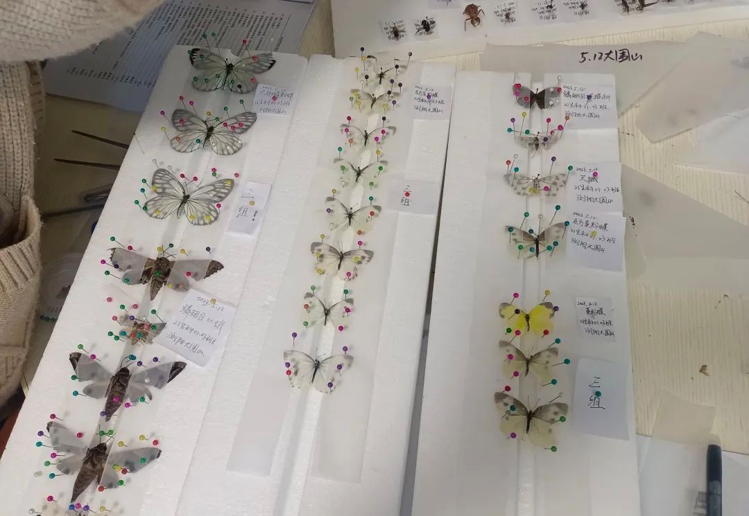 yL23411永利集团官网登录