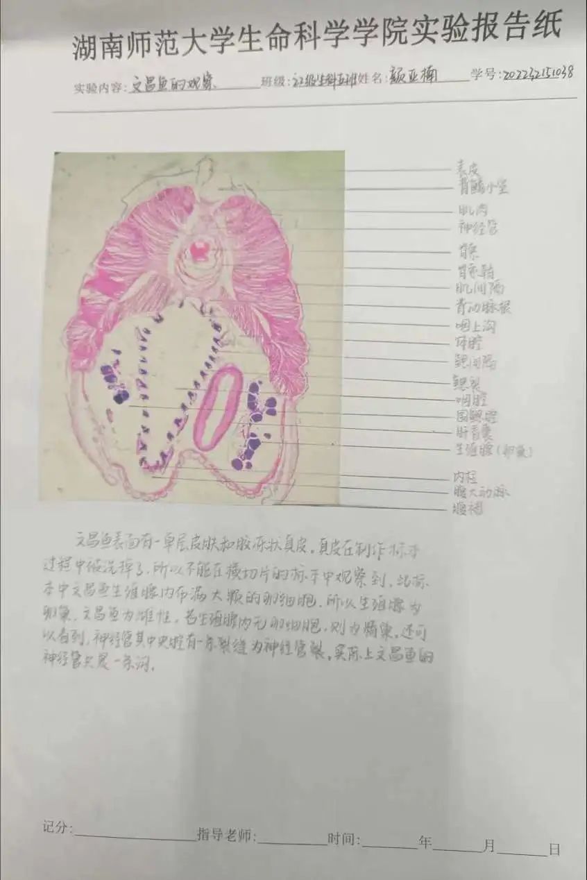 yL23411永利集团官网登录