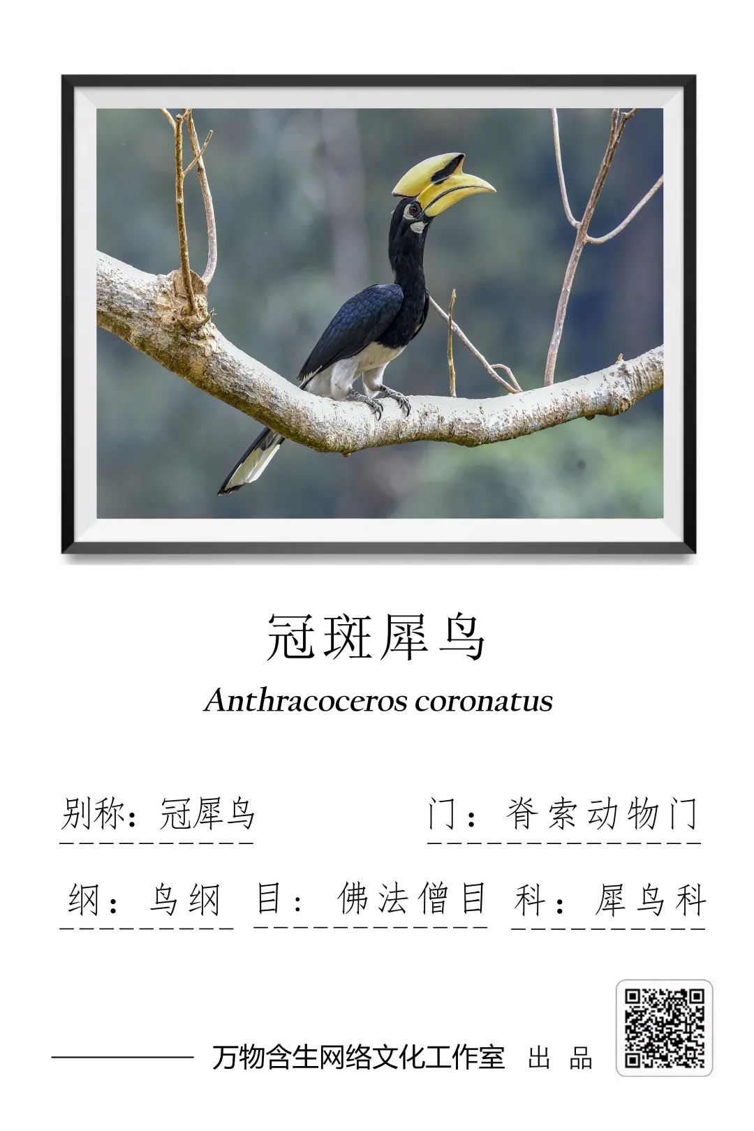 yL23411永利集团官网登录
