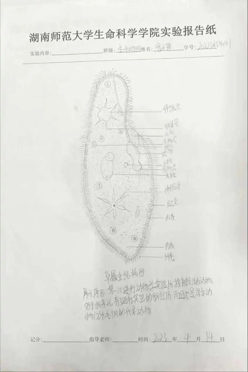 yL23411永利集团官网登录