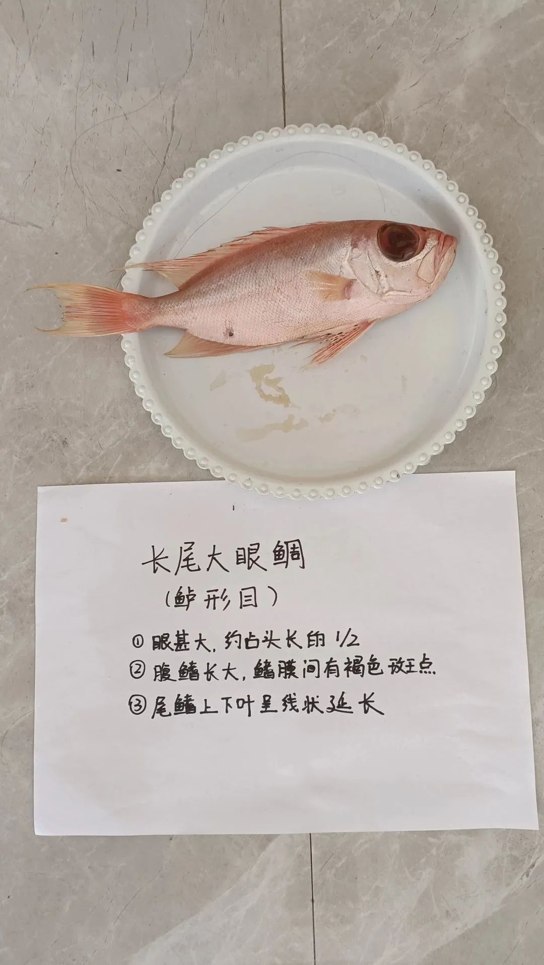 yL23411永利集团官网登录