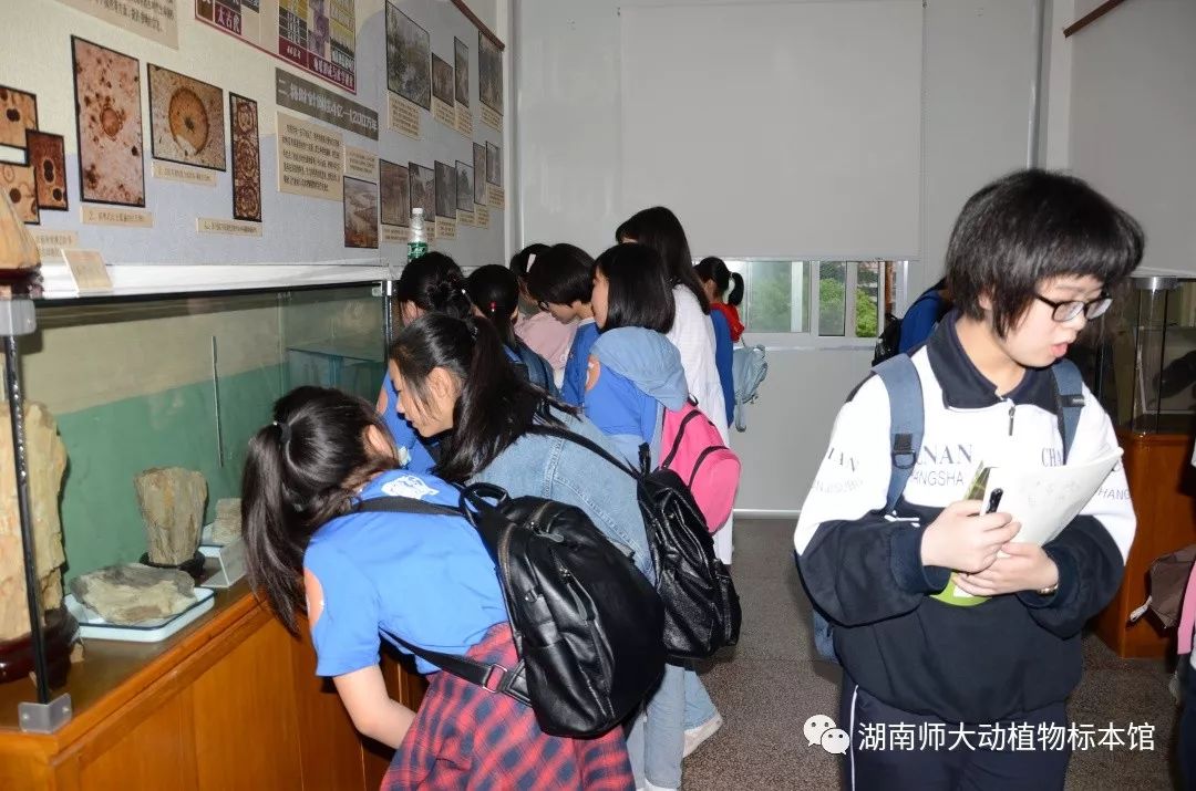 yL23411永利集团官网登录