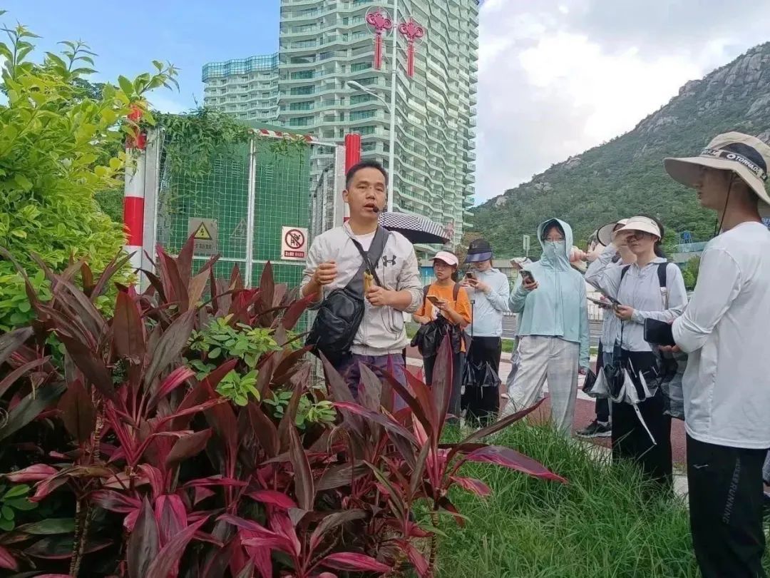 yL23411永利集团官网登录