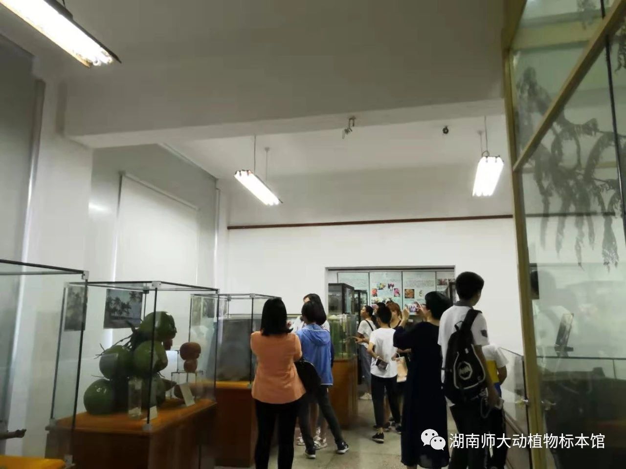 yL23411永利集团官网登录