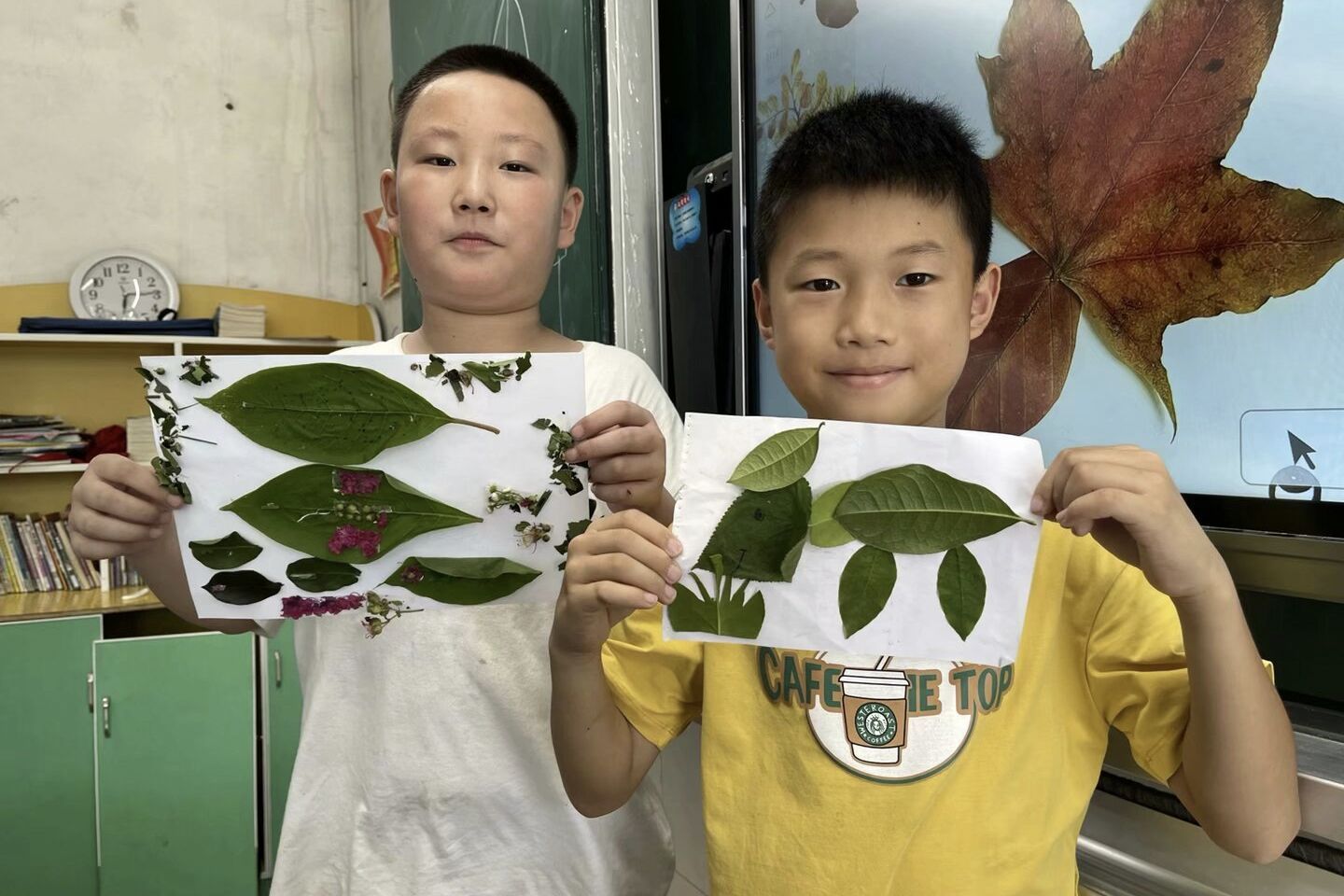 yL23411永利集团官网登录