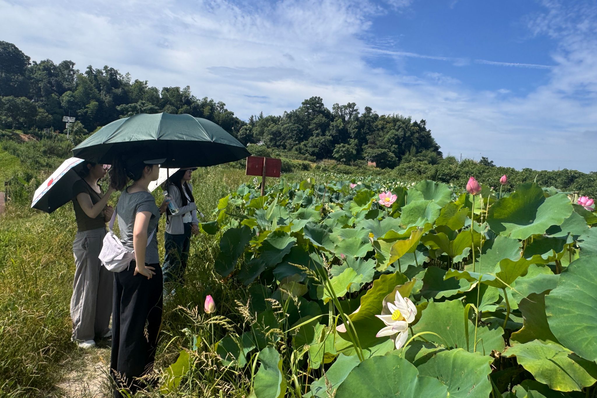 yL23411永利集团官网登录