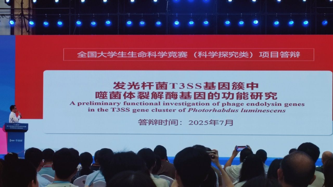 yL23411永利集团官网登录