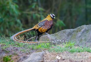 yL23411永利集团官网登录