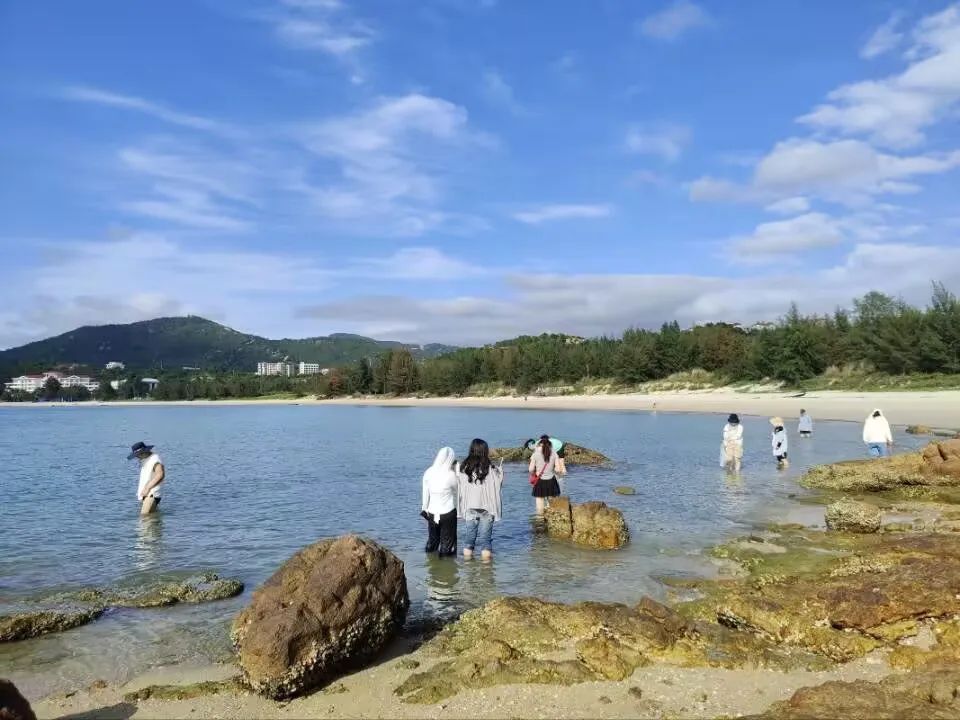 yL23411永利集团官网登录