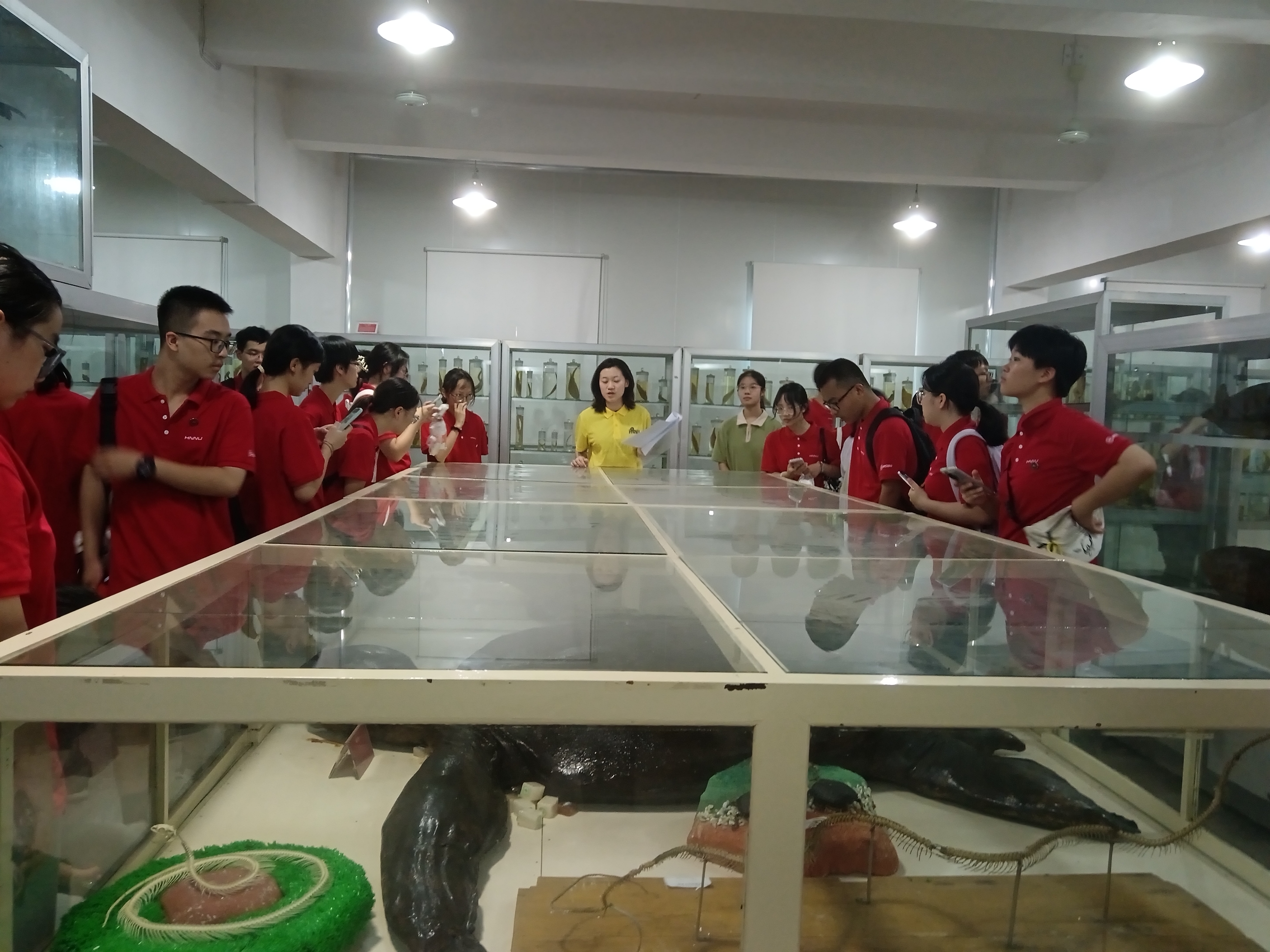 yL23411永利集团官网登录